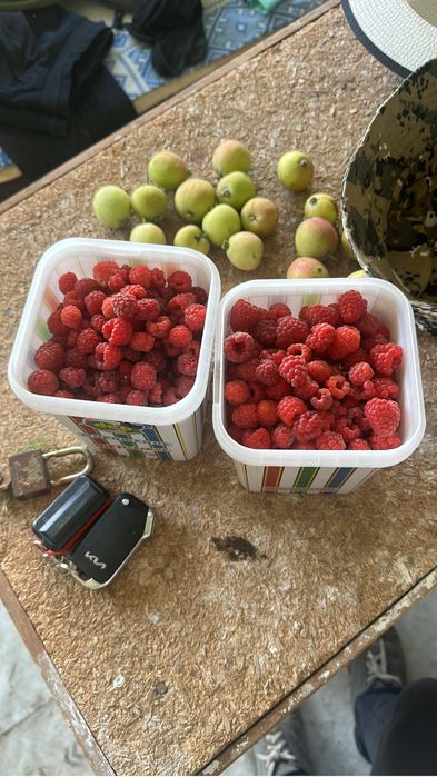 Продам дачу сад Здоровие