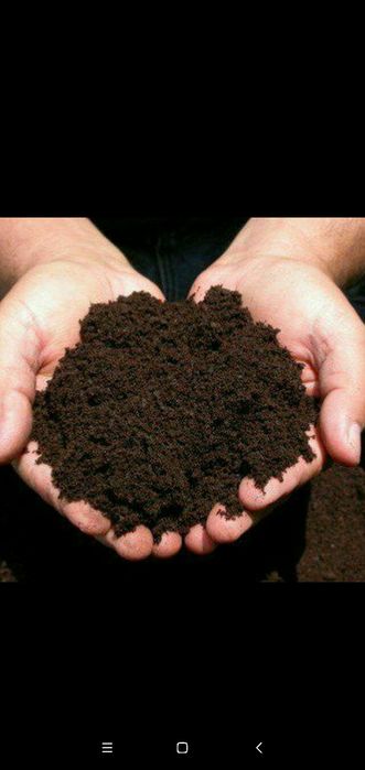 Biogumus va chuvalchang