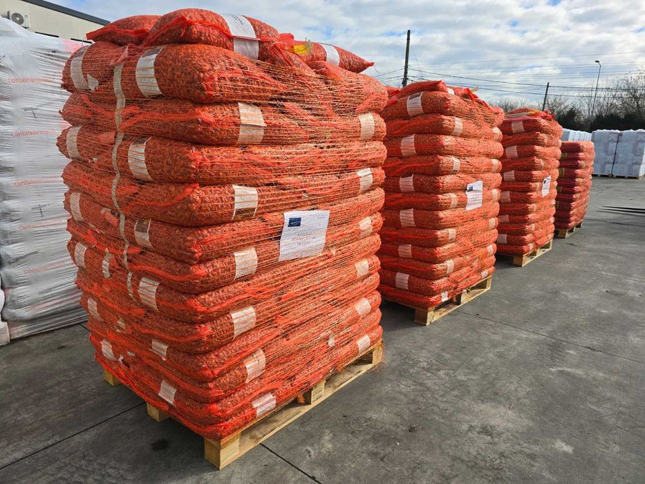 Arpagic Olanda cal 1