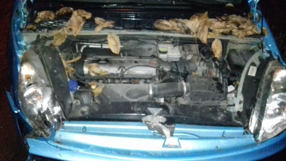 Dezmembrari Citroen XSARA PICASSO (N68) (1999-2012) 1.8 16V Benzina