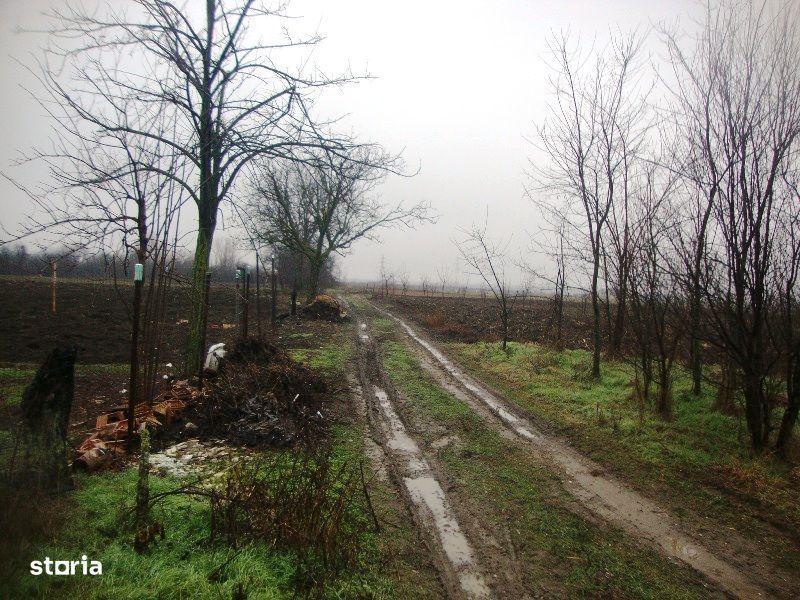 Teren extravilan Cocorastii Colt, Prahova - 3108094