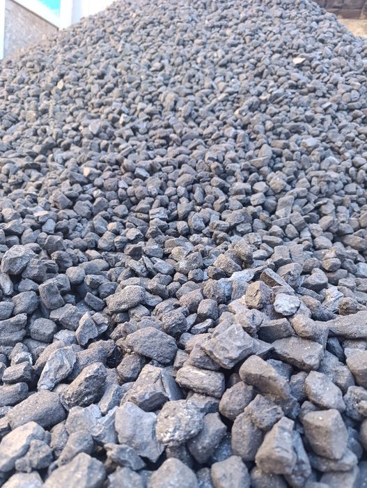 Шуборколь семачка