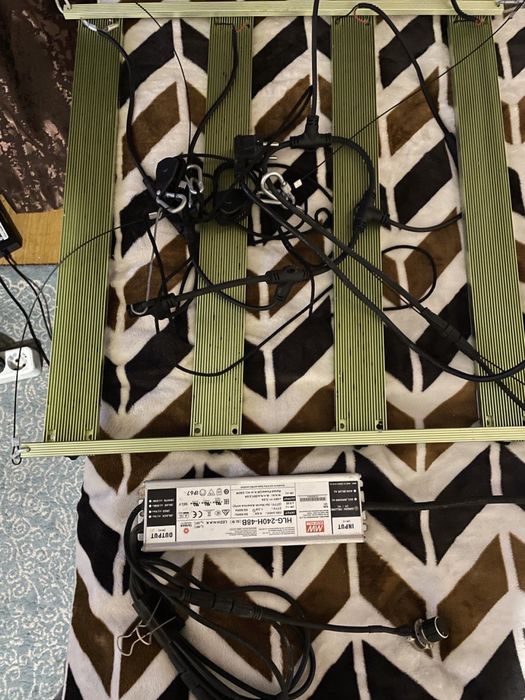 Лэд лампа для растений