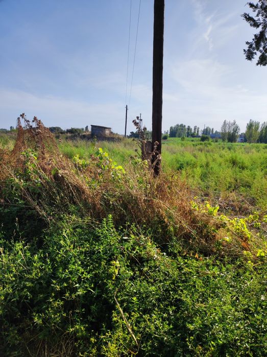 Dala shiponi sotiladi