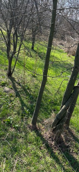 Продава се Парцел в с. Богомилово, Област Стара Загора - 1878 кв.м за 19 €/кв.м - Снимка #15