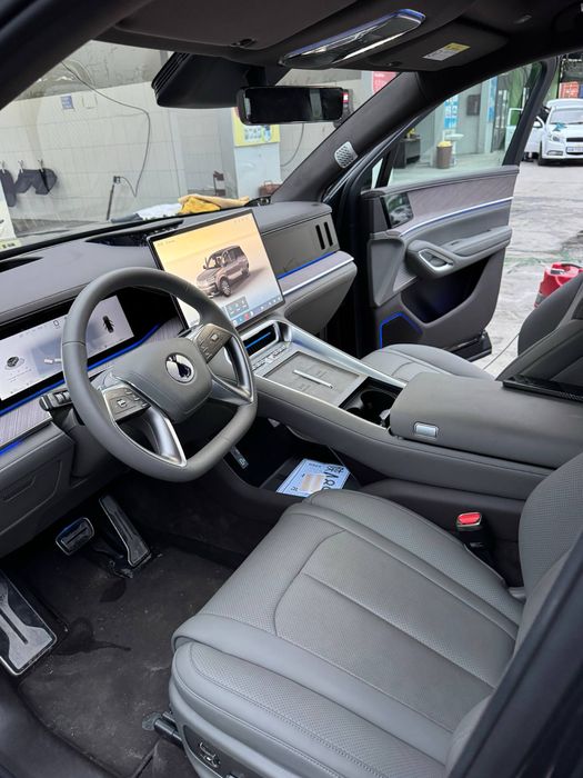 Denza N9 Full dopopsiys