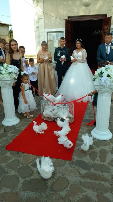 Porumbei albi, stâlpi albi și covor roșu