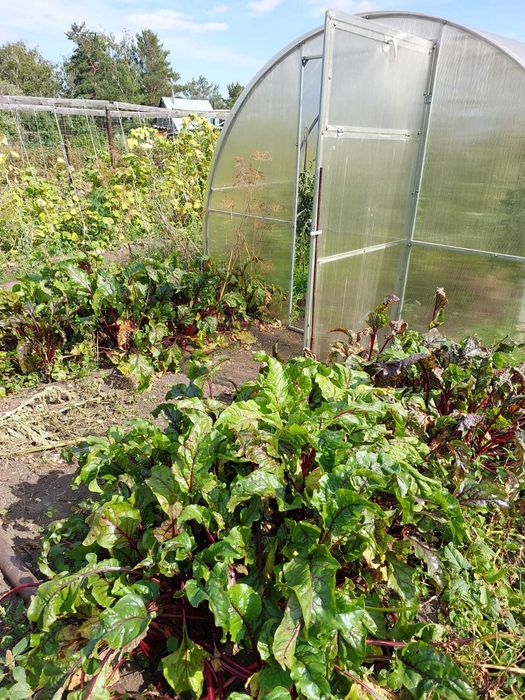 Продаётся дача, Федоровка