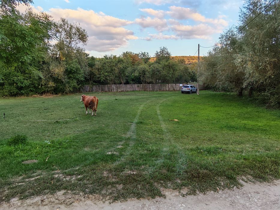 Teren intravilan Spalnaca jud Alba