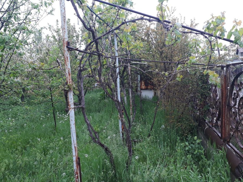 Срочно 6 соток в чингелди Мирзо Улугбекский район цена за сотку