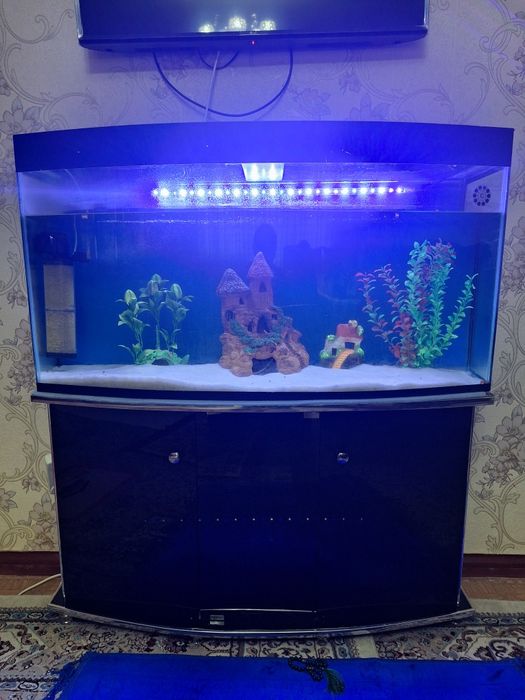 Akvarium mebeli bn sotiladi