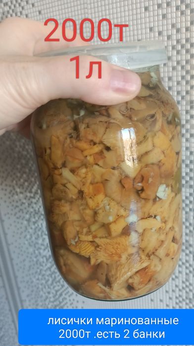 Грибы 2000 тенге