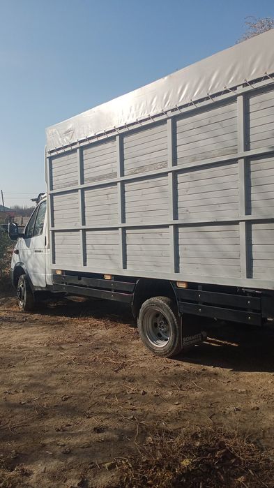 Продам газел отли