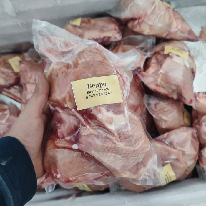 Курочка домашняя