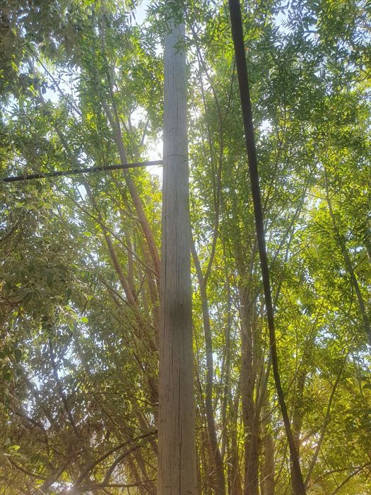 Агаш столба бар узынлыгы 8,5 метр 2 штук