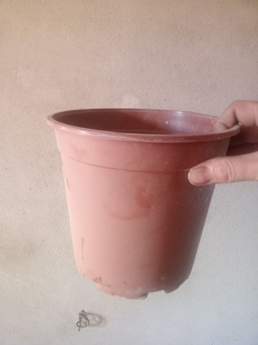Горшочки для цветов