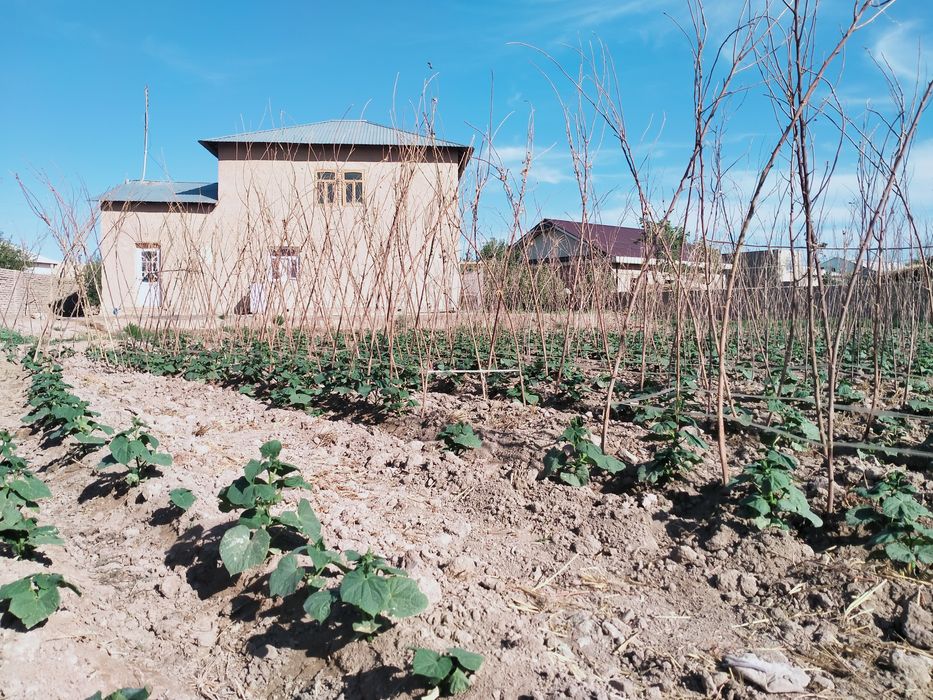 Уй Сатилади 2500кв 25сот .Шоват 19да Достлик Иштимоят Кадирят 113 уй