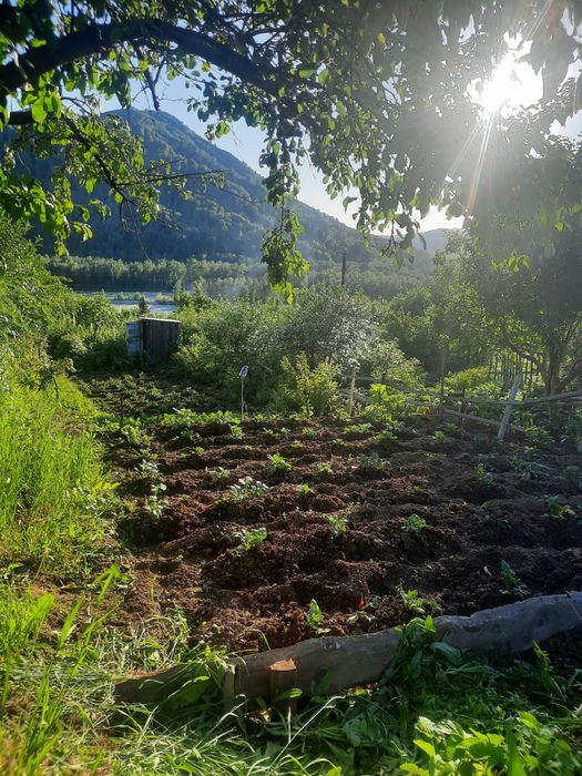 Продам дачу в садовом обществе Казахстан