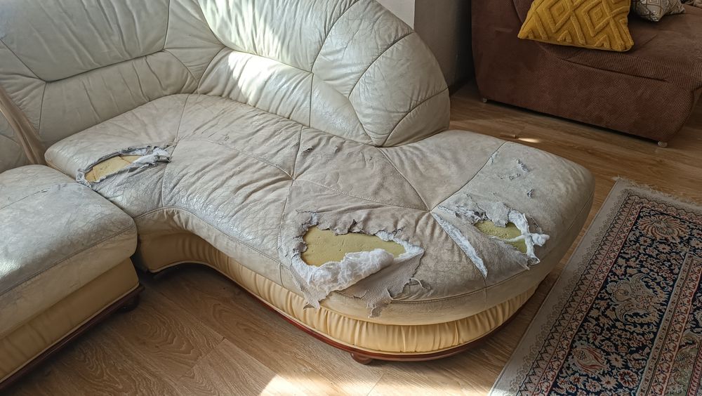 Диван бесплатно даром