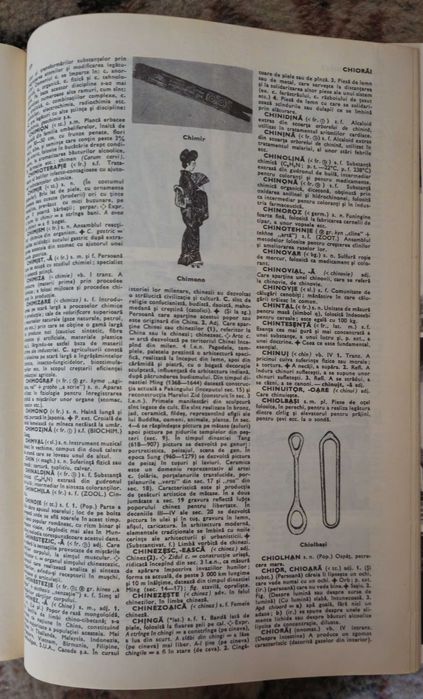 Mic dictionar enciclopedic, an - 1972, pagini – 1730