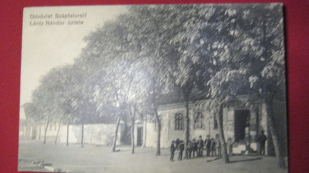 Ilustrata veche,Carte Postala,Szepfalu(Frumuseni),Arad.