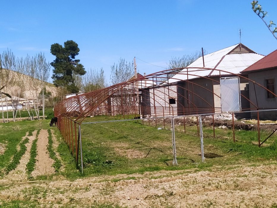 Issiqxona karkazi sotiladi