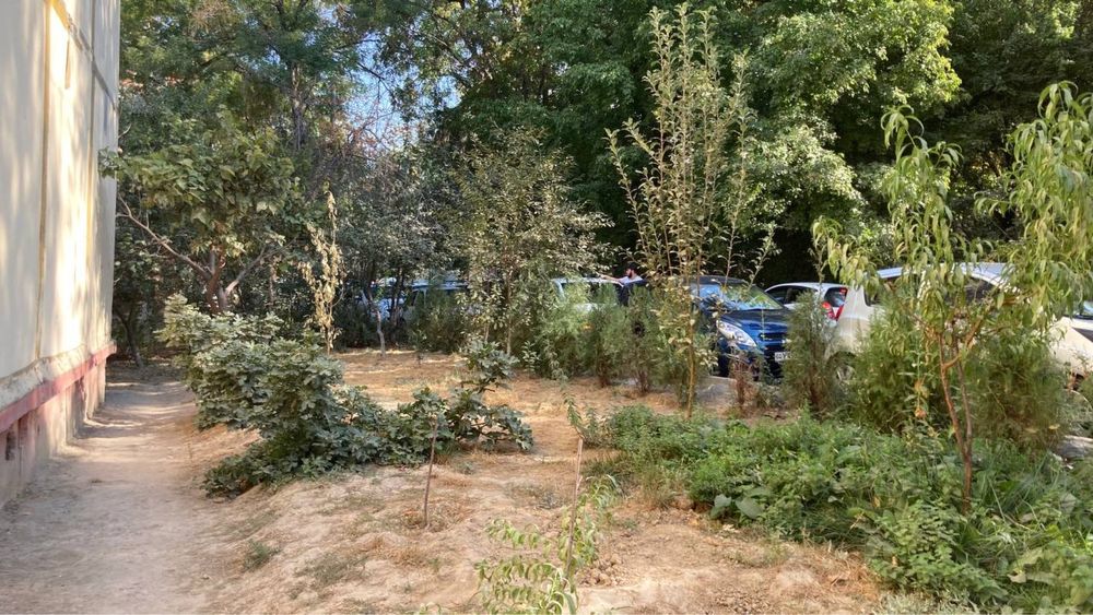 Чиланзар 19 да уй сотилади