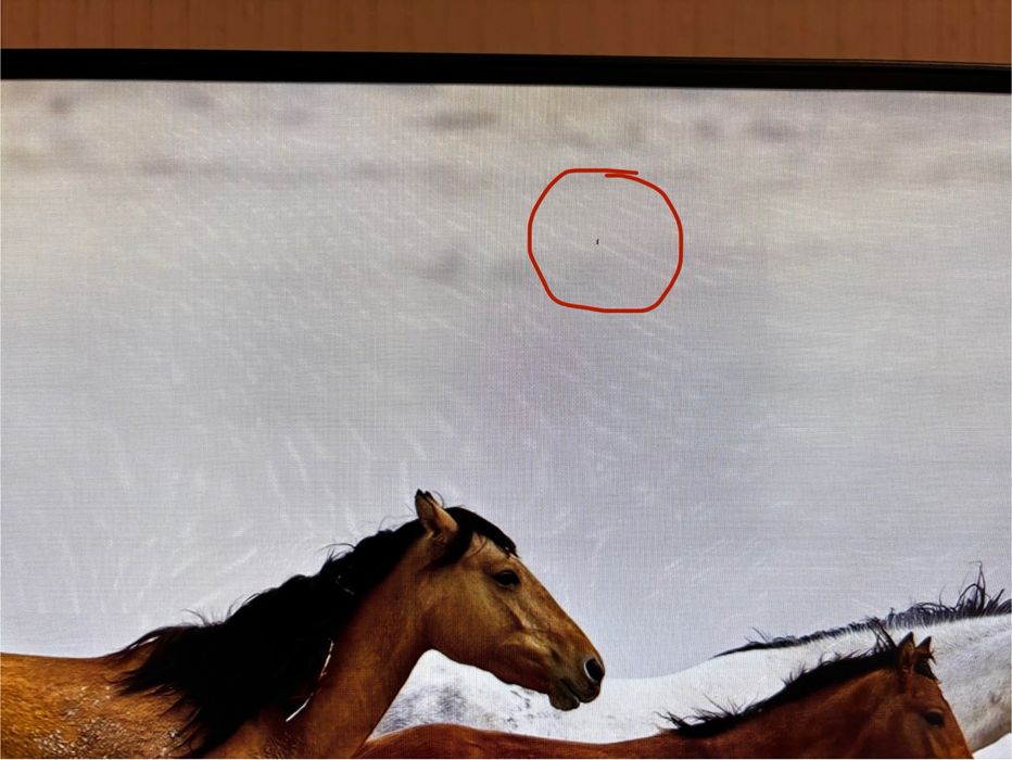 Монитор 24 дюймов 100 герц