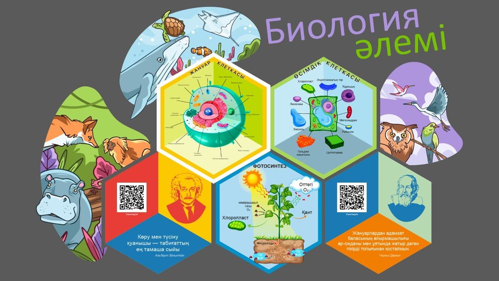 Стенды стенд для школ мектепке стенд