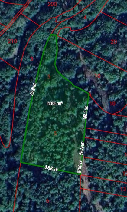 Гора 55 дка, с.Долна Бела речка, общ.Вършец