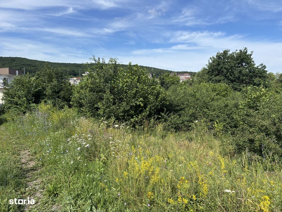 Teren intravilan Manastur/zona Campului