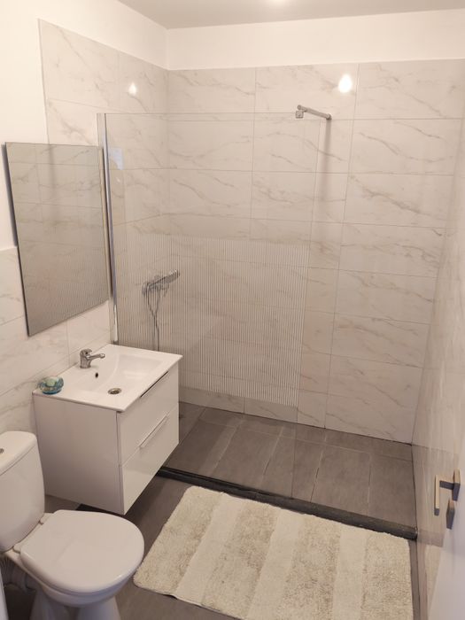 Se închiriază apartament  2 camere str. Teilor