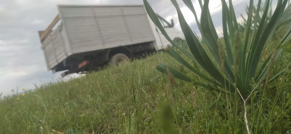 Gazel Soʻtka zavotiskoy 2005 boʻrtli ishlab yurgan moshina