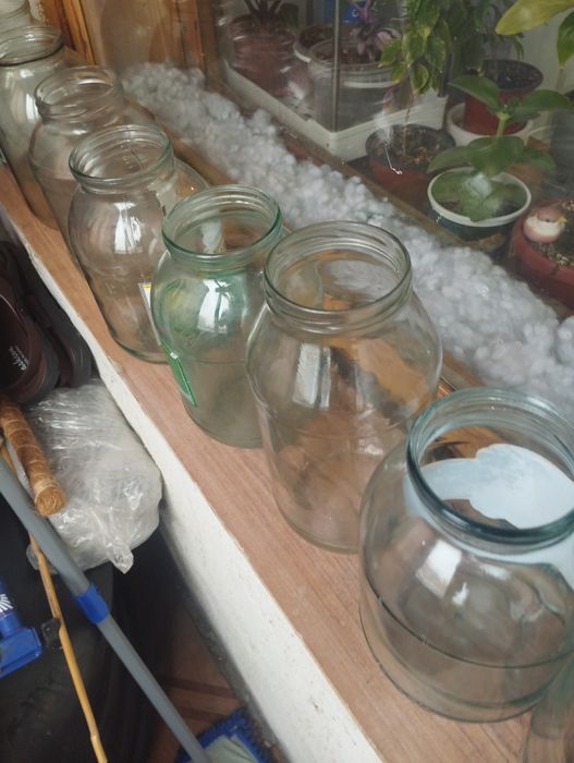 Продам банки 2-л.