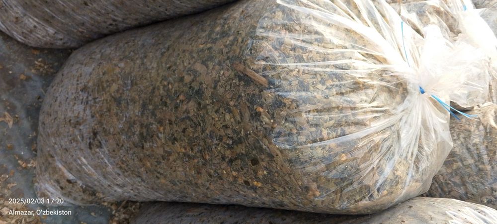 Силос сотилади донли майда орилган