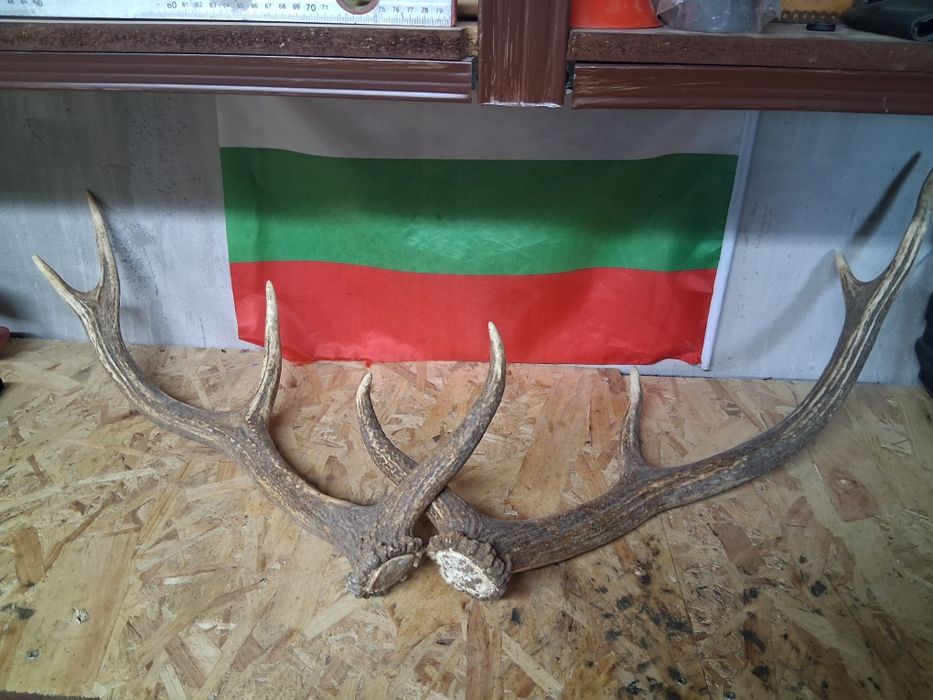Продават се  2 броя