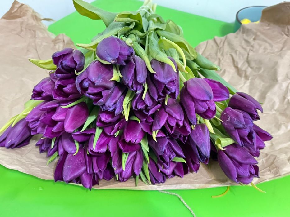 Тюлпаны оптом 400 тг