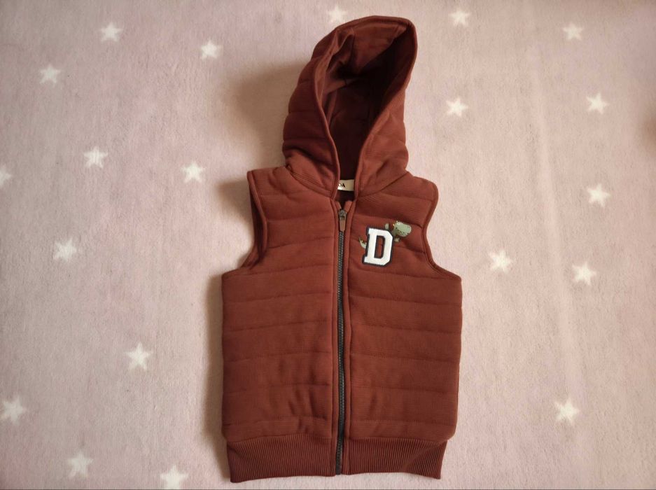 Vesta Dino copii 3 ani