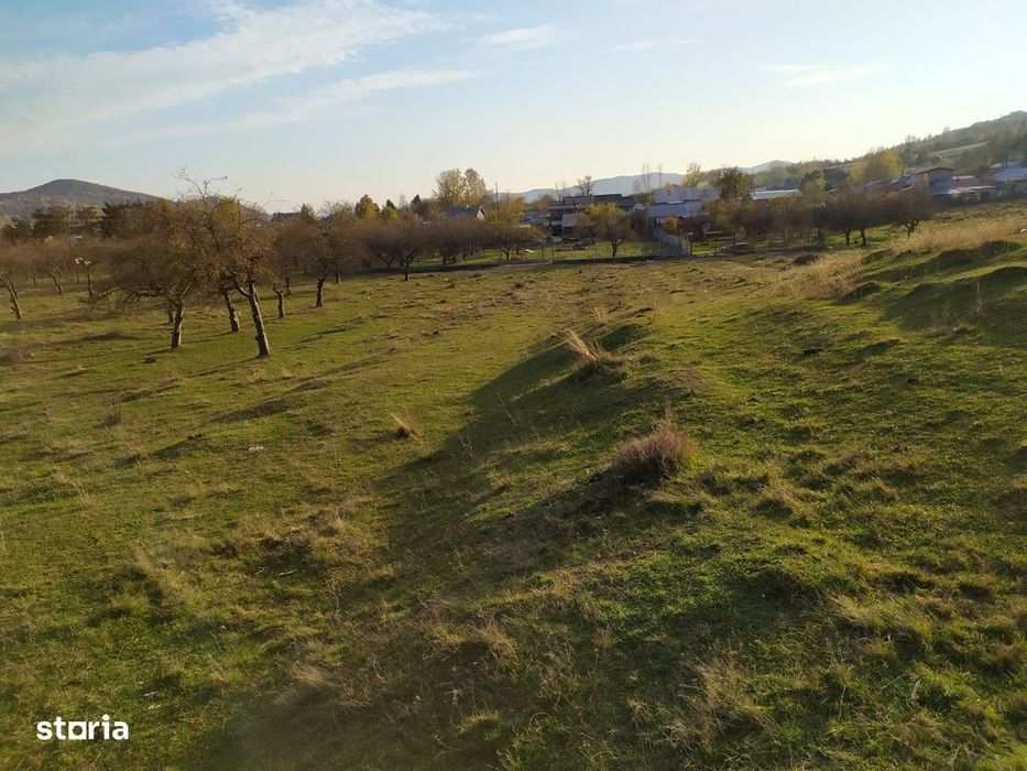 Proprietar Teren intravilan DE VÂNZARE Campina-PH (negociabil)