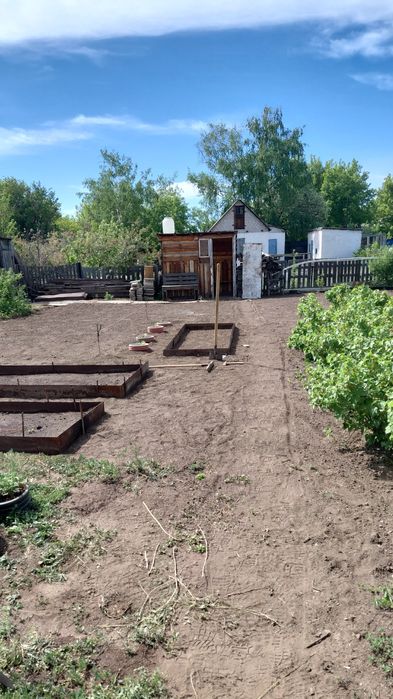 Дача оптемисте павлодарская трасса