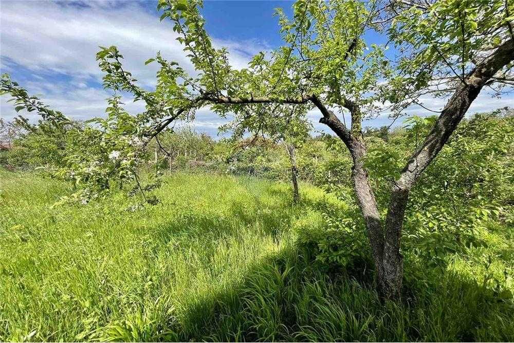 Продава се Парцел в с. Обретеник, Област Русе - 770 кв.м за 20 €/кв.м - Снимка #7