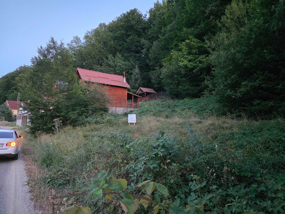 Teren Intravilan cu Utilități la Strada și Pădure în Spate – Pădurea Neagră, Bihor