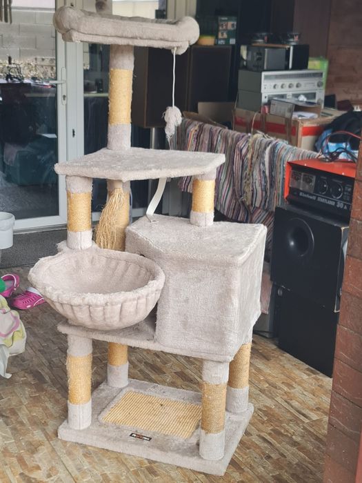 Ansamblu pentru pisici