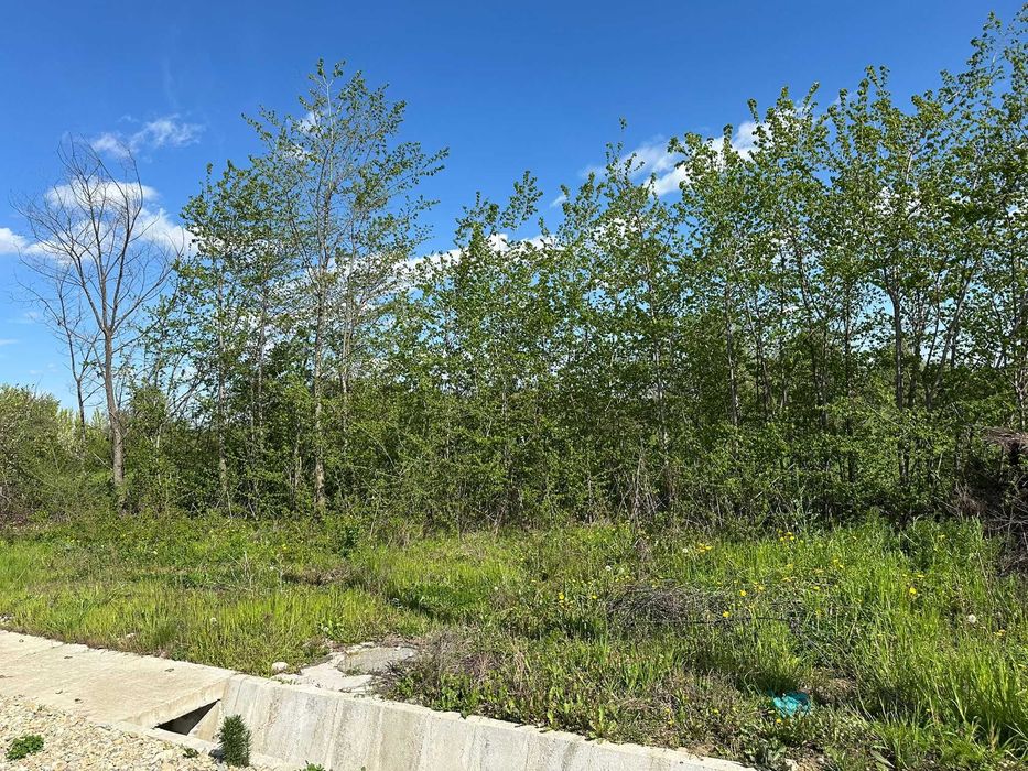 Vând teren intravilan în Teiș