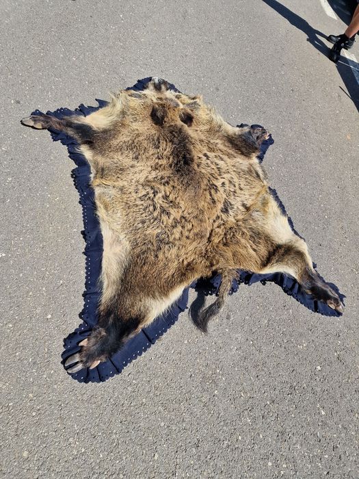 Blană ornamentală de mistreț