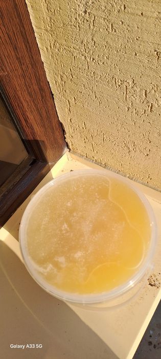 Конский жир топлёный. Жылқы майы