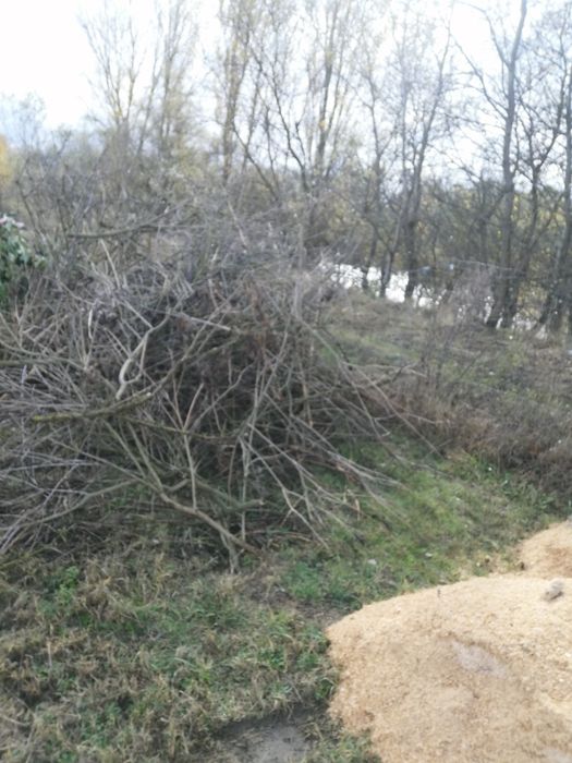 Preluam deșeuri vegetale