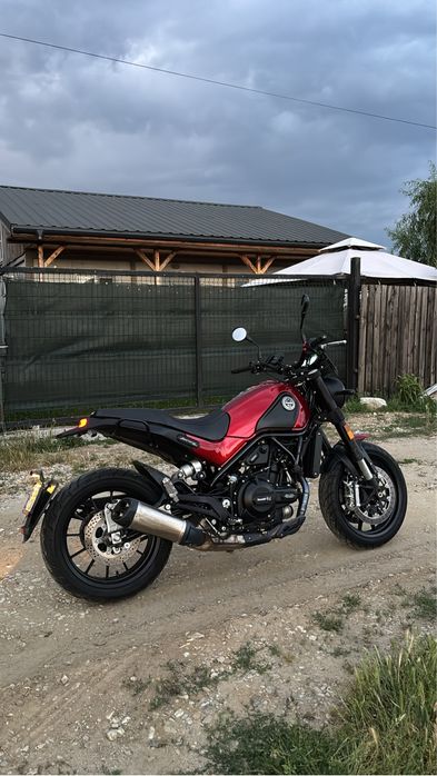 Benelli leoncino
