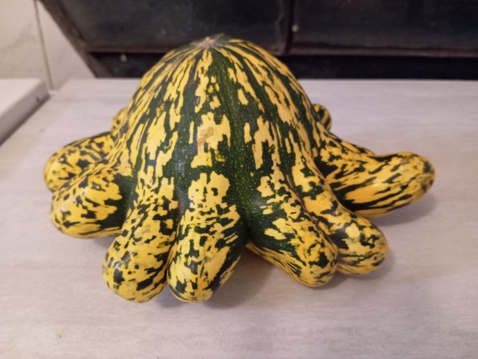 Декоративни тиквички и кратуни