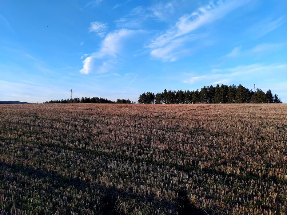 Продава се Земеделски имот в Батановци -  кв.м за 4 €/дка - Снимка #2